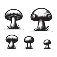 Set of mushroom silhouette on white background vector