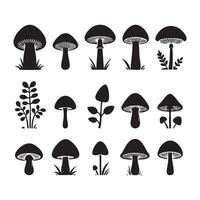 Collection of fungi silhouettes on a white background vector