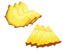 sliced pineapple slices solated white background. Citrus slices fruit. Icon set Ripe and delicious product vector