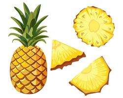 image of pineapple and sliced pineapple slices on isolated white background. Citrus fruits. Set of icons Ripe and delicious product. vector
