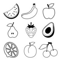 fruit set on white background with black outline vector