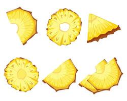sliced pineapple slices solated white background. Citrus slices fruit. Icon set Ripe and delicious product vector