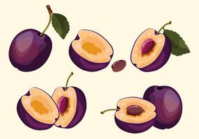 Set of juicy realistic plum fruits with leaves and fruit halves isolated on light background, illustration vector