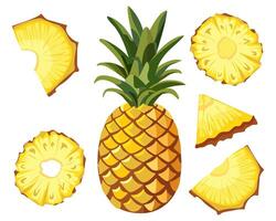 image of pineapple and sliced pineapple slices on isolated white background. Citrus fruits. Set of icons Ripe and delicious product vector