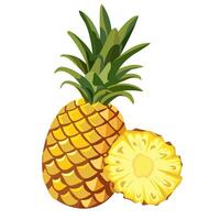 image of pineapple and sliced pineapple slices on isolated white background. Citrus fruits. Set of icons Ripe and delicious product. vector