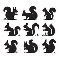 Different poses of squirrel silhouettes scattered on a white background vector