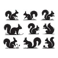 Collection of simple squirrel forms in black silhouette on white vector