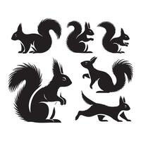 Set of squirrel silhouette on white background vector