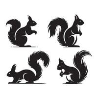Compilation of squirrel shapes in bold silhouette on white vector