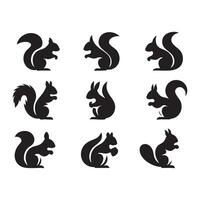 Selection of squirrel shapes in silhouette arranged on white vector