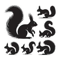Array of squirrel shadows laid out on a white surface vector