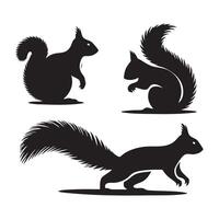 Assortment of squirrel outlines in silhouette form on a white canvas vector
