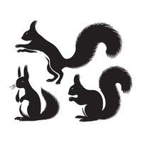 Range of squirrel silhouettes illustrated on a plain white backdrop vector