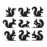 Selection of black squirrel shapes depicted on a white background vector