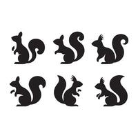 Set of black squirrel shapes on a pure white background vector