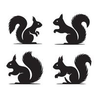 Diverse set of squirrel shadows placed on a blank white background vector