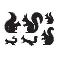 A set of outlined squirrel silhouettes featured on a white background vector