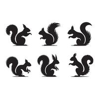 Grouping of squirrel figures silhouetted on a white backdrop vector