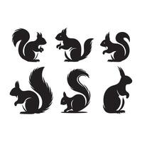 Display of various squirrel silhouettes on a minimal white background vector