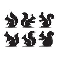 Selection of outlined squirrel forms in silhouette against white vector