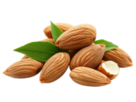 Natural and Nutritious Whole Almonds with Green Leaves Capturing the Freshness, Texture, and Nutritional Value of This Popular Snack Perfect for Culinary Photography png