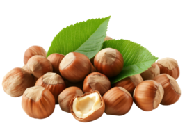 Hazelnuts with leaves on Isolated on transparent background png