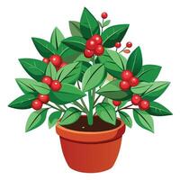 Christmas Celebration Set flower vector