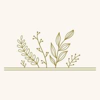 A minimalist illustration of various plant elements in a simple line art style. vector
