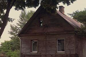 Old wooden plank house standing in greenery on dull day photo