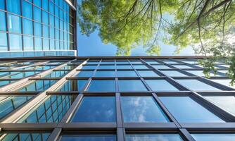 Bottom view of windows of a modern office building photo