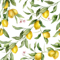 Seamless pattern with watercolor illustration of Lemon or Lime with pink flowers. Hand painted print with lemon branche with green leaves on isolated. Citrus food for wrapping paper or textile design. png