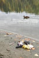 Environmental impact of littering on natural habitats with floating duck on polluted lakeside. photo