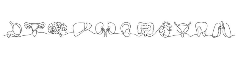 Set of human organs in one continuous line drawing on white background. Lungs, brain, bladder, liver, kidneys, intestines, ear, hand, stomach, tooth in one line illustration. vector