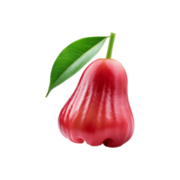 vermelho Rosa maçã fruta em transparente fundo png