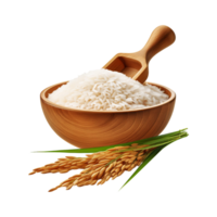Wooden bowl of rice bowl with bunch of rice plant on transparent background png