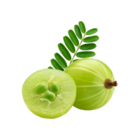 Fresh amla fruit with slice and leaf on transparent background png