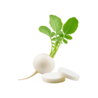 White radish vegetable with slices on transparent background png