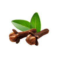 Clove with green leaf on transparent background png