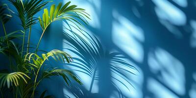 Blurred shadow from palm leaves on the blue wall. Minimal abstract background for product presentation. Spring and summer photo