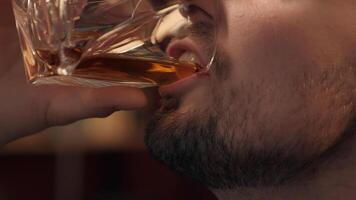 Close up happy laughing Caucasian drunk addict man male bearded businessman guy client customer drinking glass expensive alcohol liquor whiskey at home room. Alcoholism addiction unhealthy lifestyle photo
