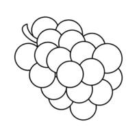Grapes Line Art Icon - Simple Illustration of a Grape Bunch Outline vector