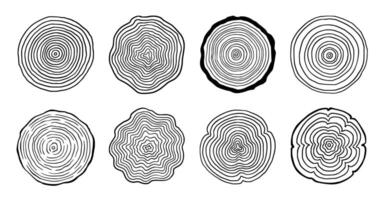 Tree ring wood circle set. Hand drawn tree ring pattern, line ripple circle wood texture. Wood organic slice line design. vector