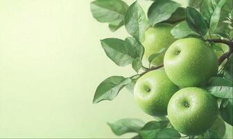 Green apples on branches on green background with copy space photo