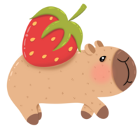 Capybara with strawberries on the back png