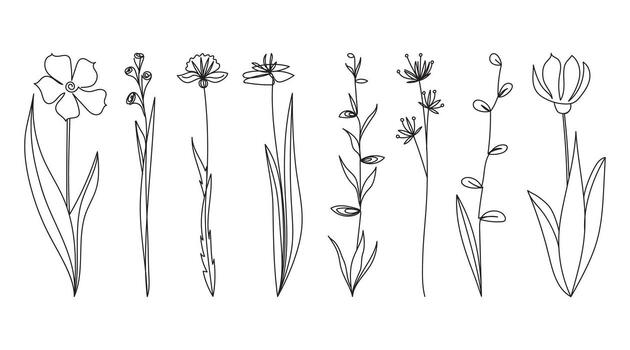 Hand drawn set of abstract wildflowers. Botanical sketch. Design for templates. Linear illustration. vector