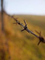 A barbed wire fence with a field in the background photo