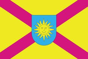 The of a Flag of Zhmeryn district vector