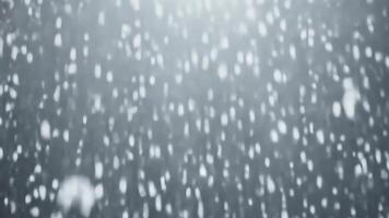 Abstract gray background with white bokeh effect. video