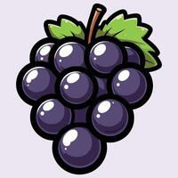 Fresh Grapes Illustration for Winery, Vineyard, and Culinary Projects vector