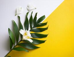 White flower and green palm leaf on yellow and white background flat lay photo